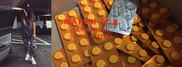 индика Киреевск