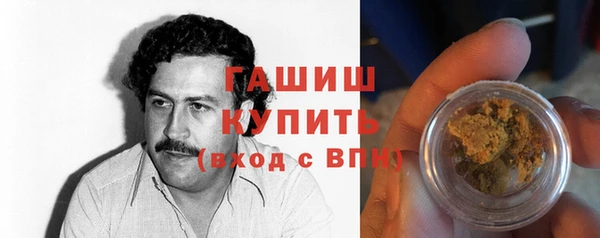 индика Киреевск