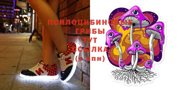 индика Киреевск