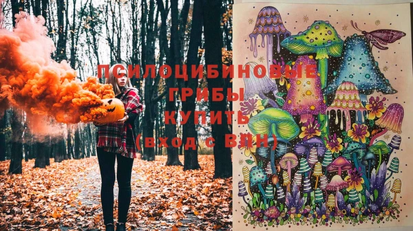 дживик Киренск