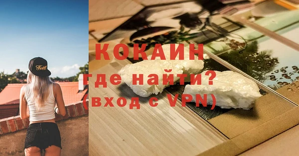 индика Киреевск