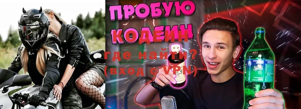 индика Киреевск