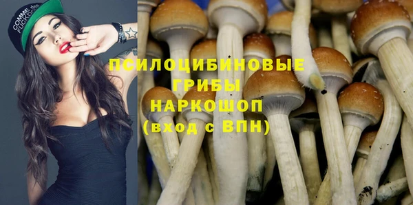 дживик Киренск