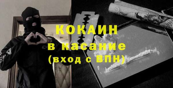 индика Киреевск