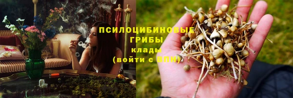 спиды Кинешма